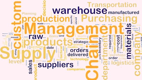 Supply Chain Management Project Report