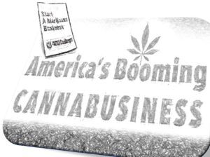 Buying and Selling Cannabis Businesses in US