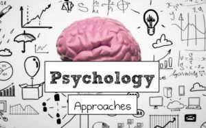 Psychological Assessment And Management Example