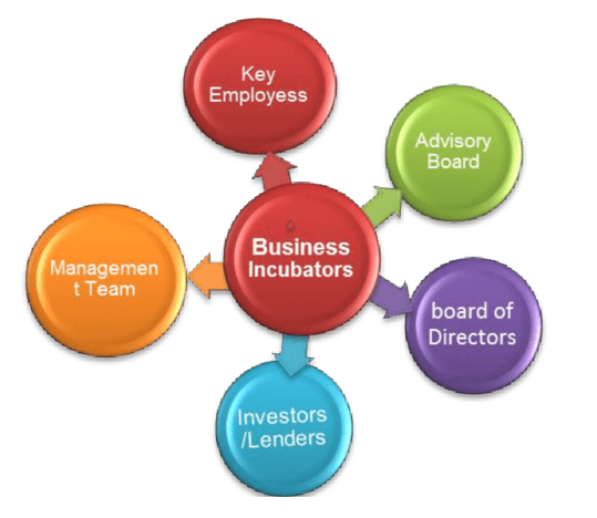 Importance of Business Incubation Process