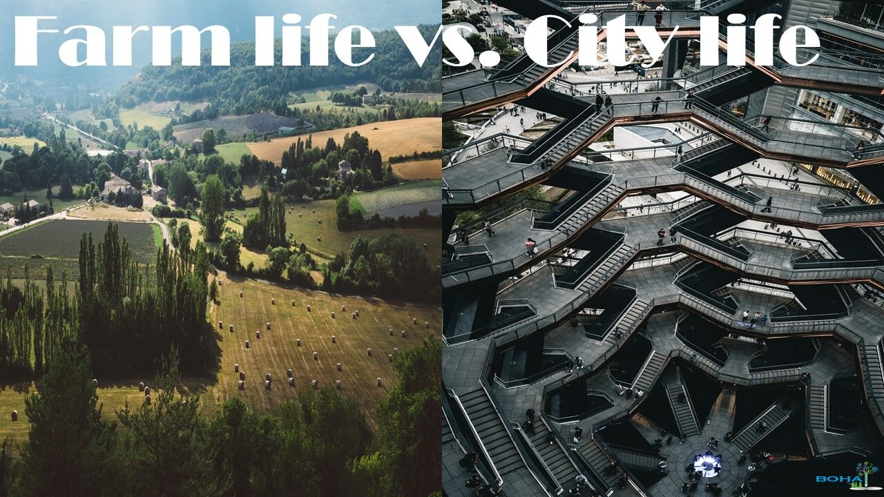 Farm life vs. City life