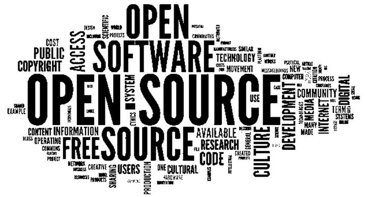 Institutional Adoption of Open Source Software