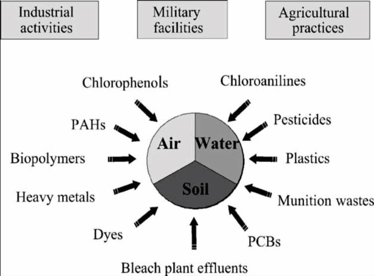Bioremediation of Organic Pollutant